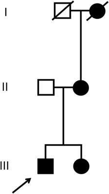 Phenotyping of a novel COL4A4 and novel GLA variant in a patient presenting with microhematuria and mildly impaired kidney function: a case report